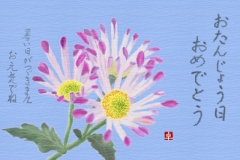 10-09-スプレー菊　手紙