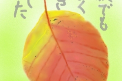 10-11-落ち葉-手紙