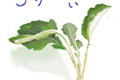 11-01-ラデイシュ-手紙