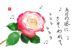 11-05-ばら-手紙