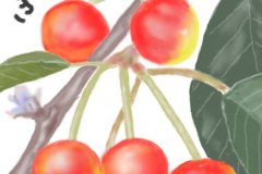 11-06-さくらんぼ-手紙