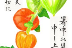 11-07-ほおずき　手紙