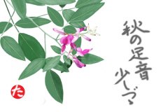 11-09-萩　手紙