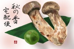 11-10-松茸　手紙
