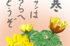 12-01福寿草　手紙