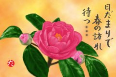 12-02-椿　手紙