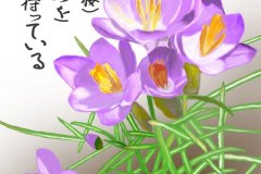12-03クロッカス　手紙