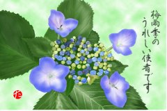 12-06-あじさい-手紙