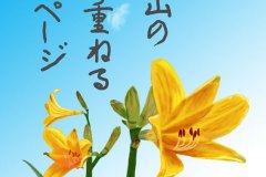 12-08ニッコウキスゲ　手紙