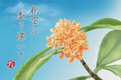 12-10金木犀-手紙