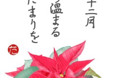 12-12-ポインセチア-手紙