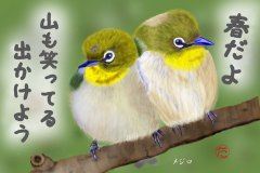 13-04-メジロ手紙