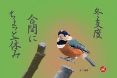 13-11ヤマガラ　手紙