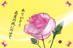 14-05カーネーション-手紙