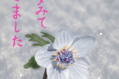 15-02節分草-手紙