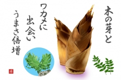 15-03-筍-木の芽-ワカメ-手紙