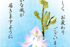 15-07-サギ草-手紙