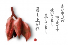 15-10さつま芋手紙