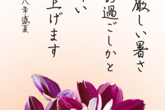 16-07-ダリア-手紙