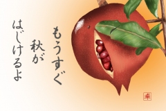 16-09ザクロ-手紙