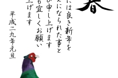 17-01年賀-キジ