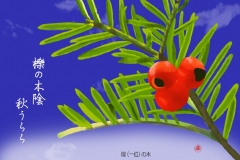 17-10-櫟-手紙