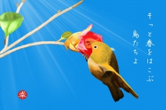 18-02-椿とメジロ-手紙