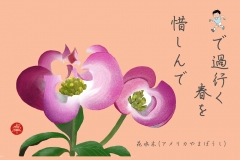 18-04-花水木-手紙