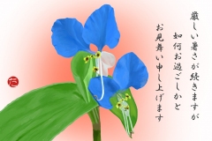 19-07-つゆ草-手紙