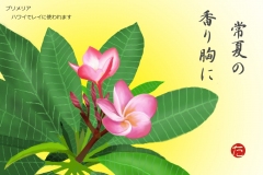 19-09-プリメリア手紙