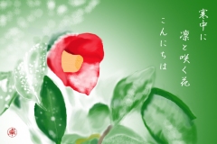 20-01-寒椿-手紙