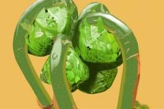 20-03-こごみ-手紙