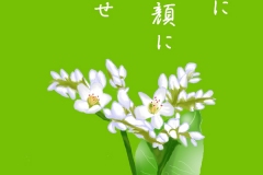 20-10そばの花-手紙