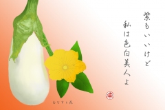 20-5-白なす-手紙