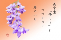 21-04-藤
