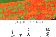 21-10山の紅葉-手紙