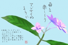 22-06-七段花-手紙