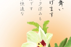 22-07-オクラの花-手紙　2