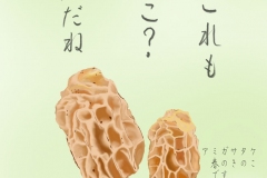 22-09-アミガサタケ-手紙